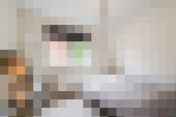 Oosterdorpsstraat 115 Hoevelaken thumbnail 36
