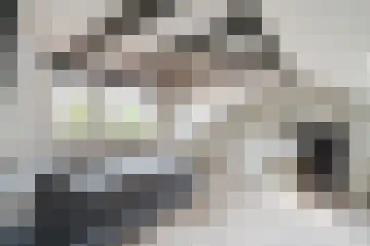 Oosterdorpsstraat 115 Hoevelaken thumbnail 43