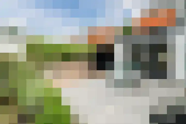 Oosterdorpsstraat 115 Hoevelaken thumbnail 6