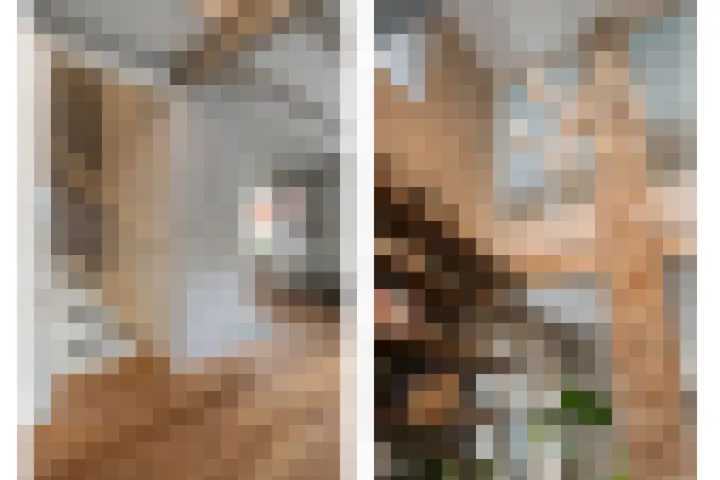Oosterdorpsstraat 140 Hoevelaken thumbnail 32