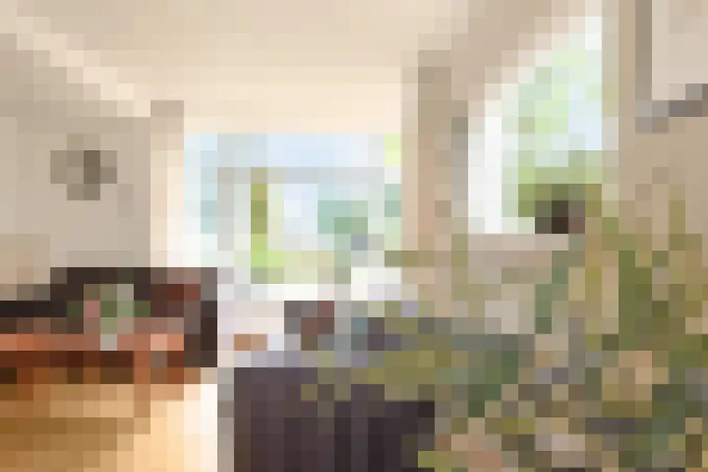 Oosterdorpsstraat 83 Hoevelaken thumbnail 13