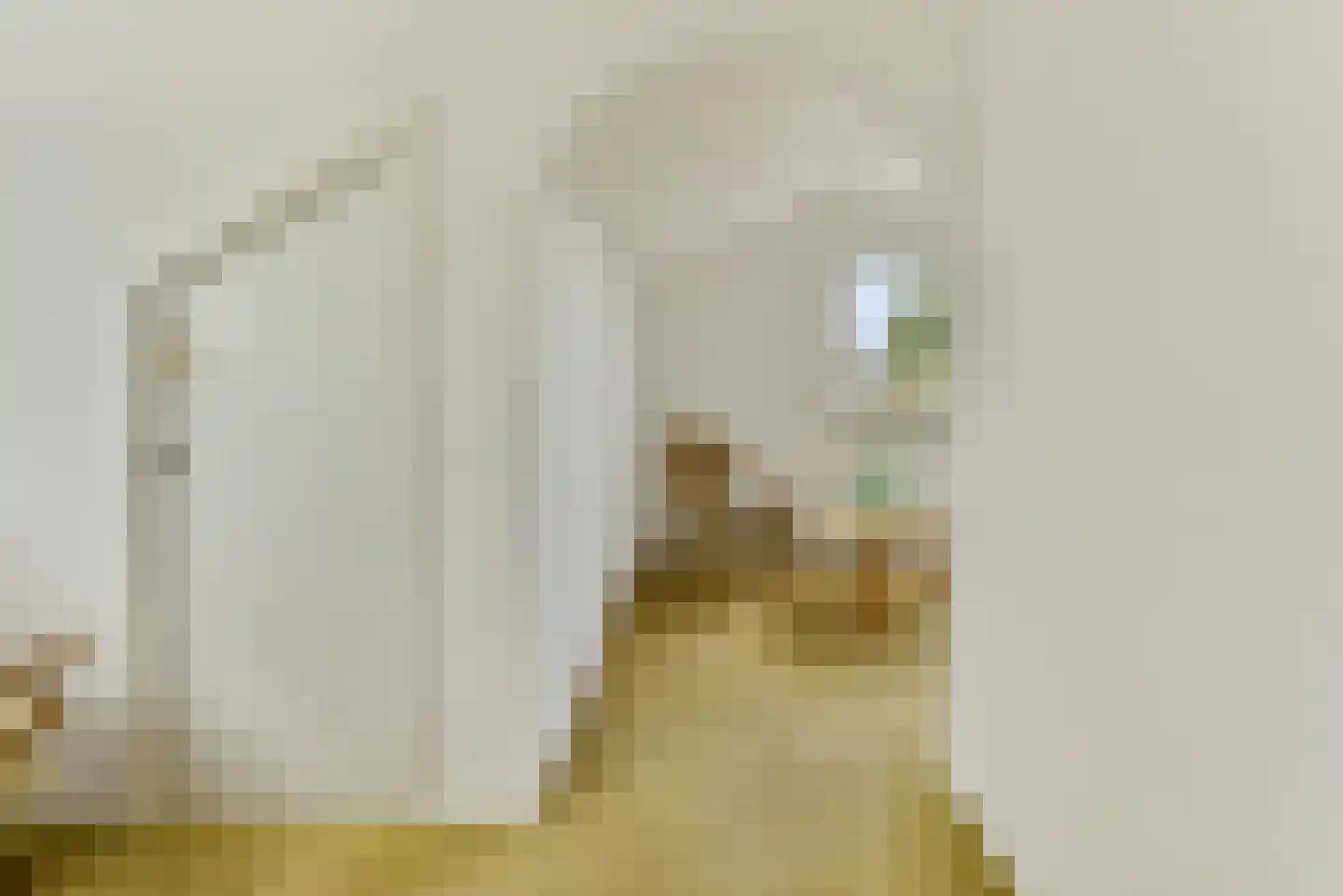 Oosterdorpsstraat 83 Hoevelaken thumbnail 39