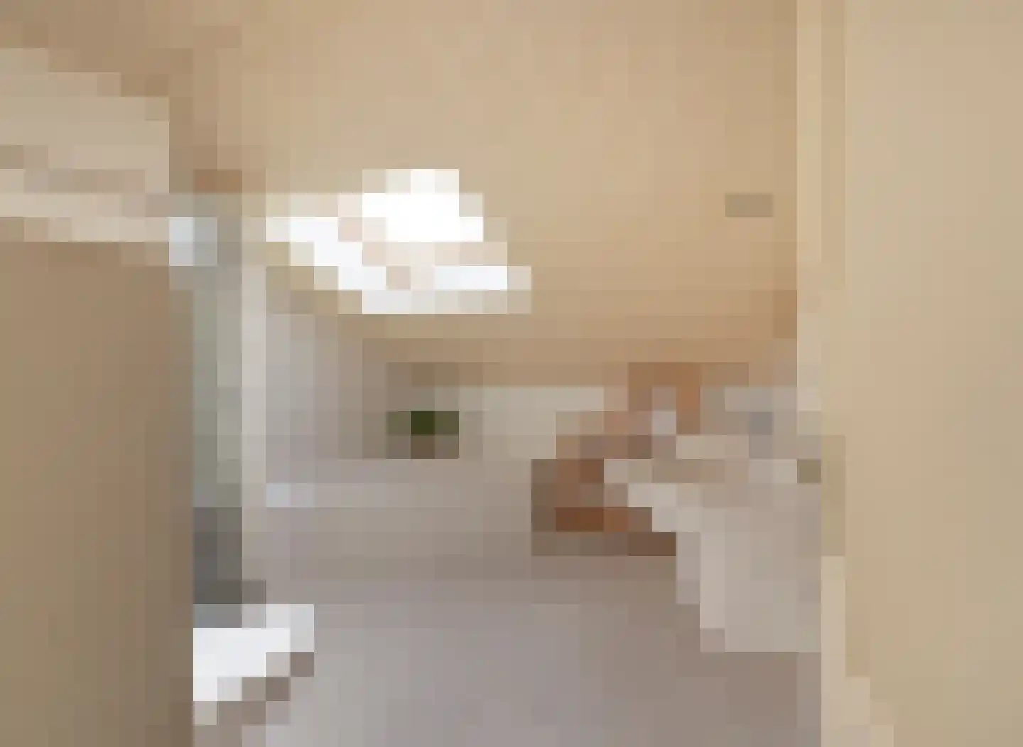 Oosterdorpsstraat 83 Hoevelaken thumbnail 43