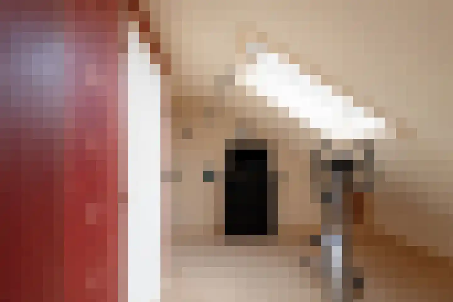 Oosterdorpsstraat 83 Hoevelaken thumbnail 45