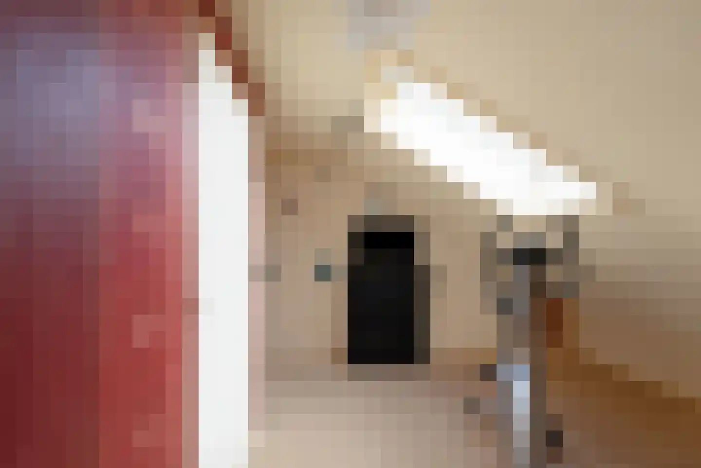 Oosterdorpsstraat 83 Hoevelaken thumbnail 49
