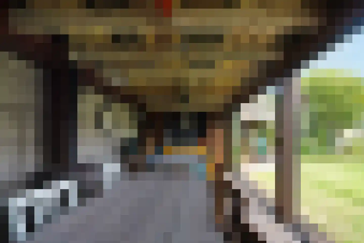Oosterdorpsstraat 83 Hoevelaken thumbnail 56
