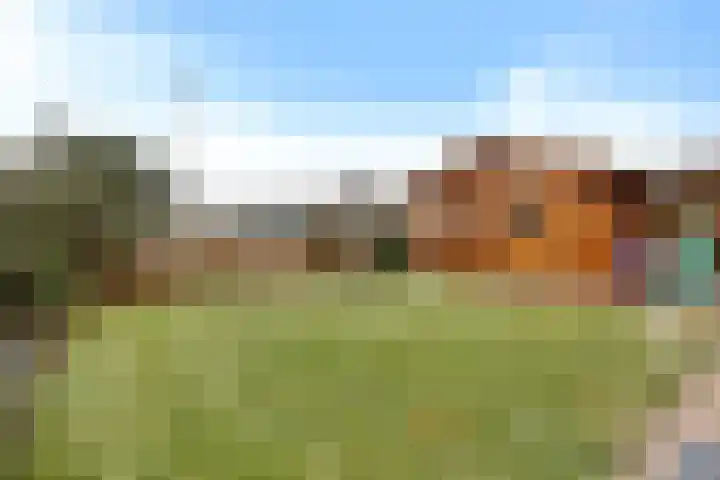 Oosterdreef 14 Noordbroek thumbnail 16