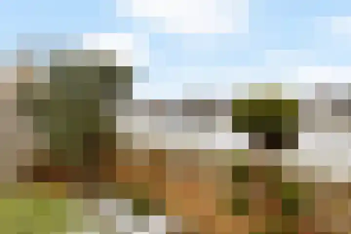 Oosterdreef 14 Noordbroek thumbnail 18