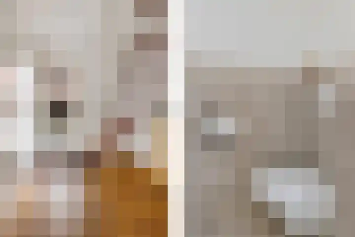 Oosterdreef 14 Noordbroek thumbnail 21