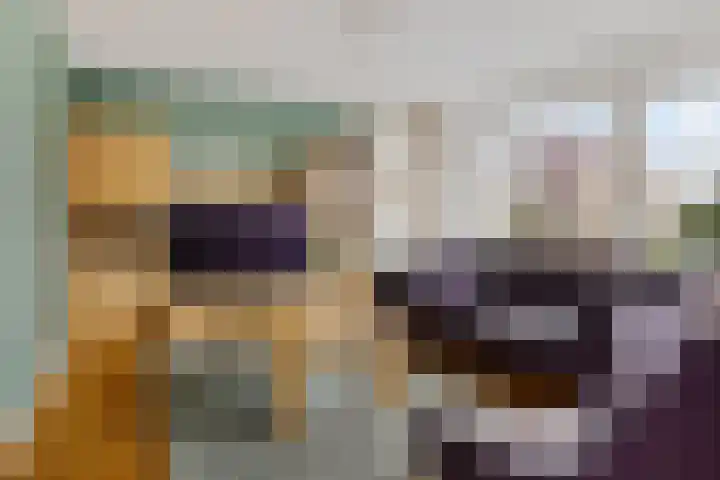 Oosterdreef 14 Noordbroek thumbnail 23