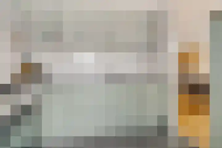 Oosterdreef 14 Noordbroek thumbnail 32