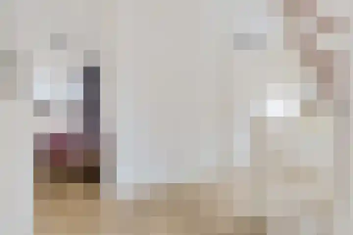 Oosterdreef 14 Noordbroek thumbnail 36
