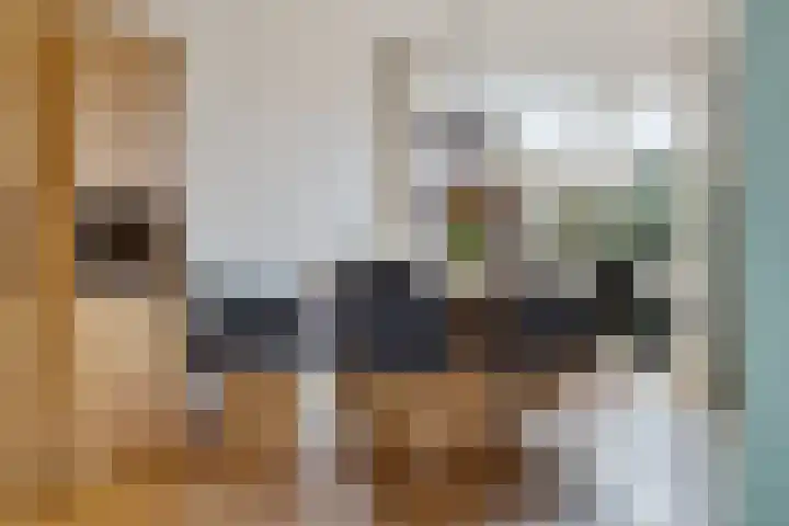 Oosterdreef 14 Noordbroek thumbnail 4