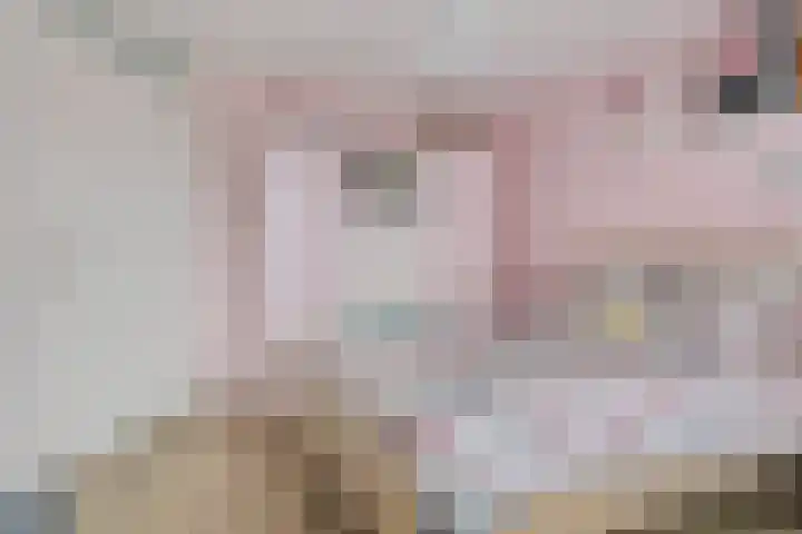 Oosterdreef 14 Noordbroek thumbnail 42
