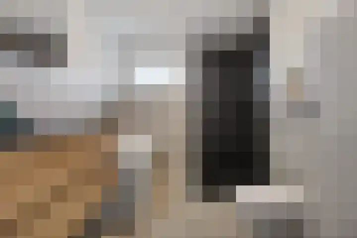 Oosterdreef 14 Noordbroek thumbnail 43