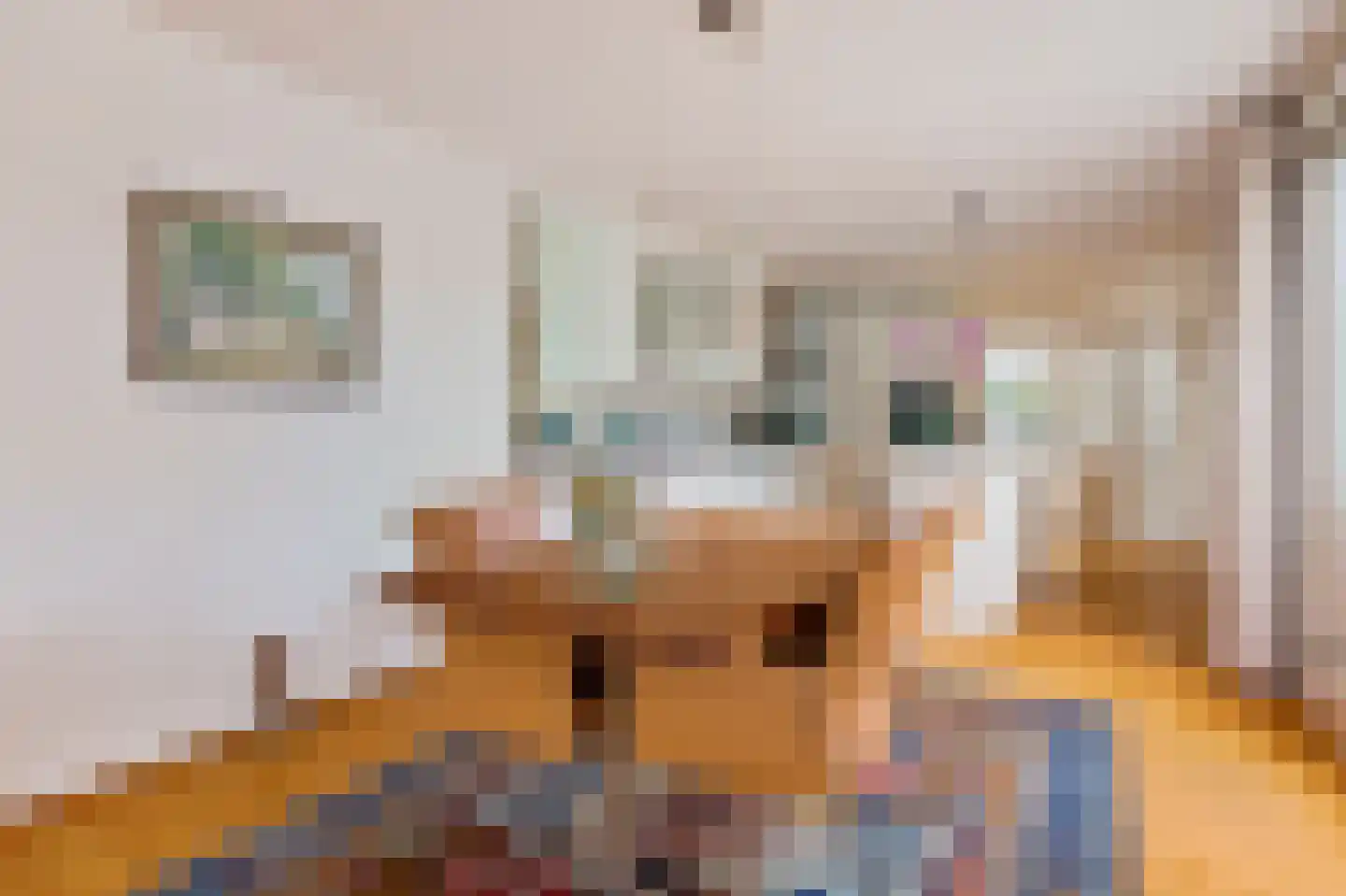 Oosterdreef 63 Nieuw-Vennep thumbnail 10