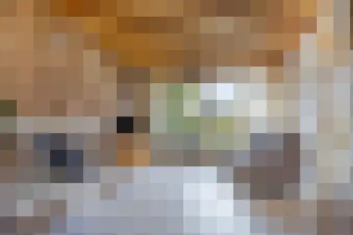 Oosterdstraat 1 Berghem thumbnail 10