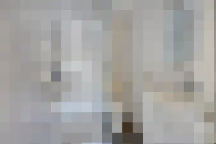 Oosterdstraat 1 Berghem thumbnail 26