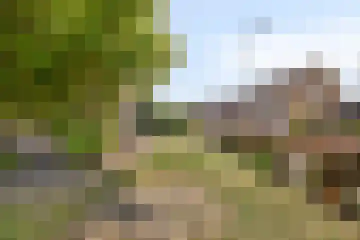 Oosterdstraat 1 Berghem thumbnail 38