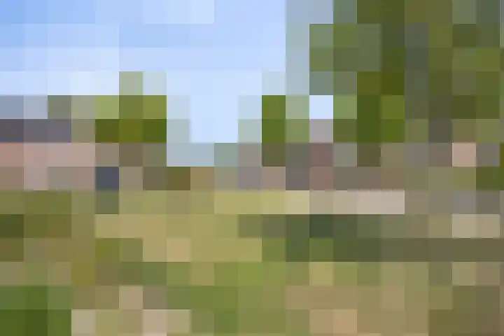 Oosterdstraat 1 Berghem thumbnail 42