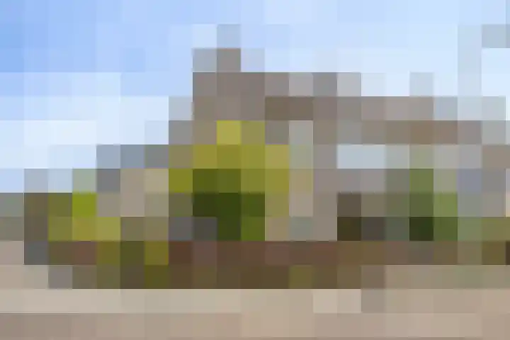 Oosterdstraat 1 Berghem thumbnail 50