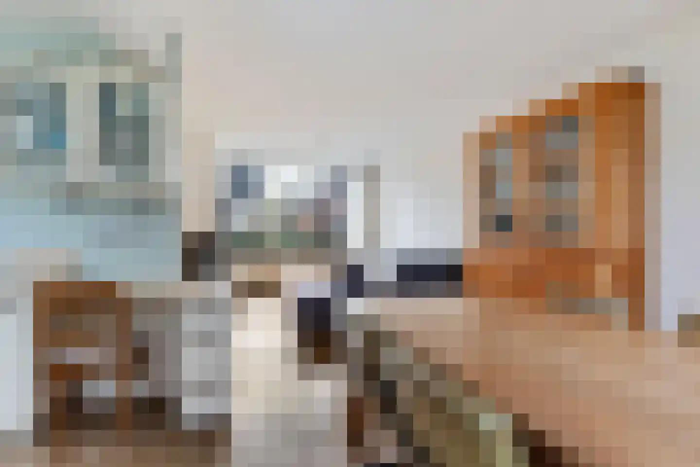 Oosterdstraat 37 Berghem thumbnail 14