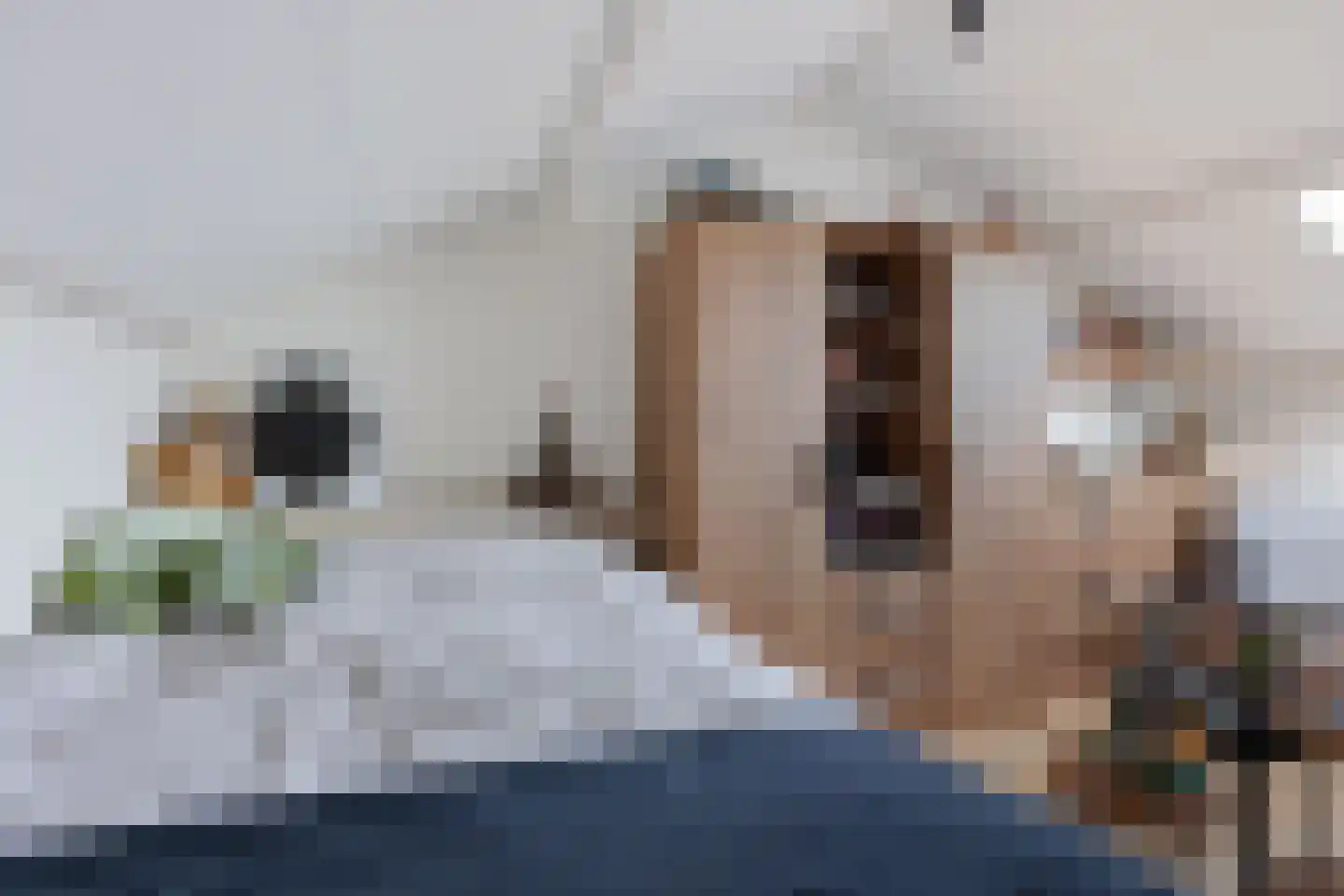 Oosterdstraat 37 Berghem thumbnail 35