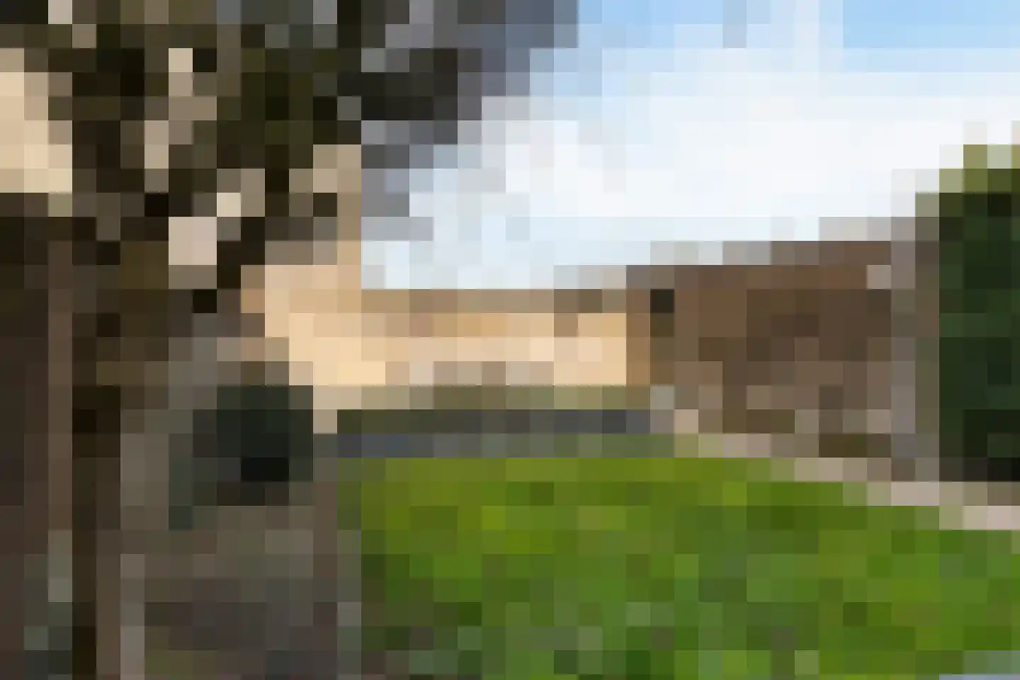 Oosterdstraat 37 Berghem thumbnail 43