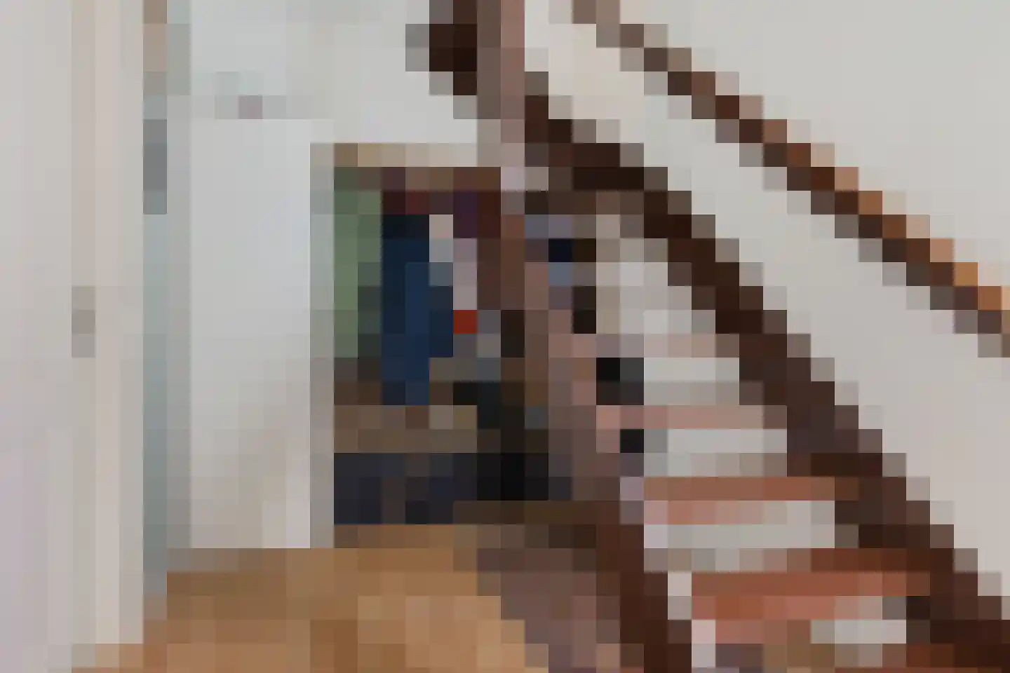 Oosterdstraat 37 Berghem thumbnail 8