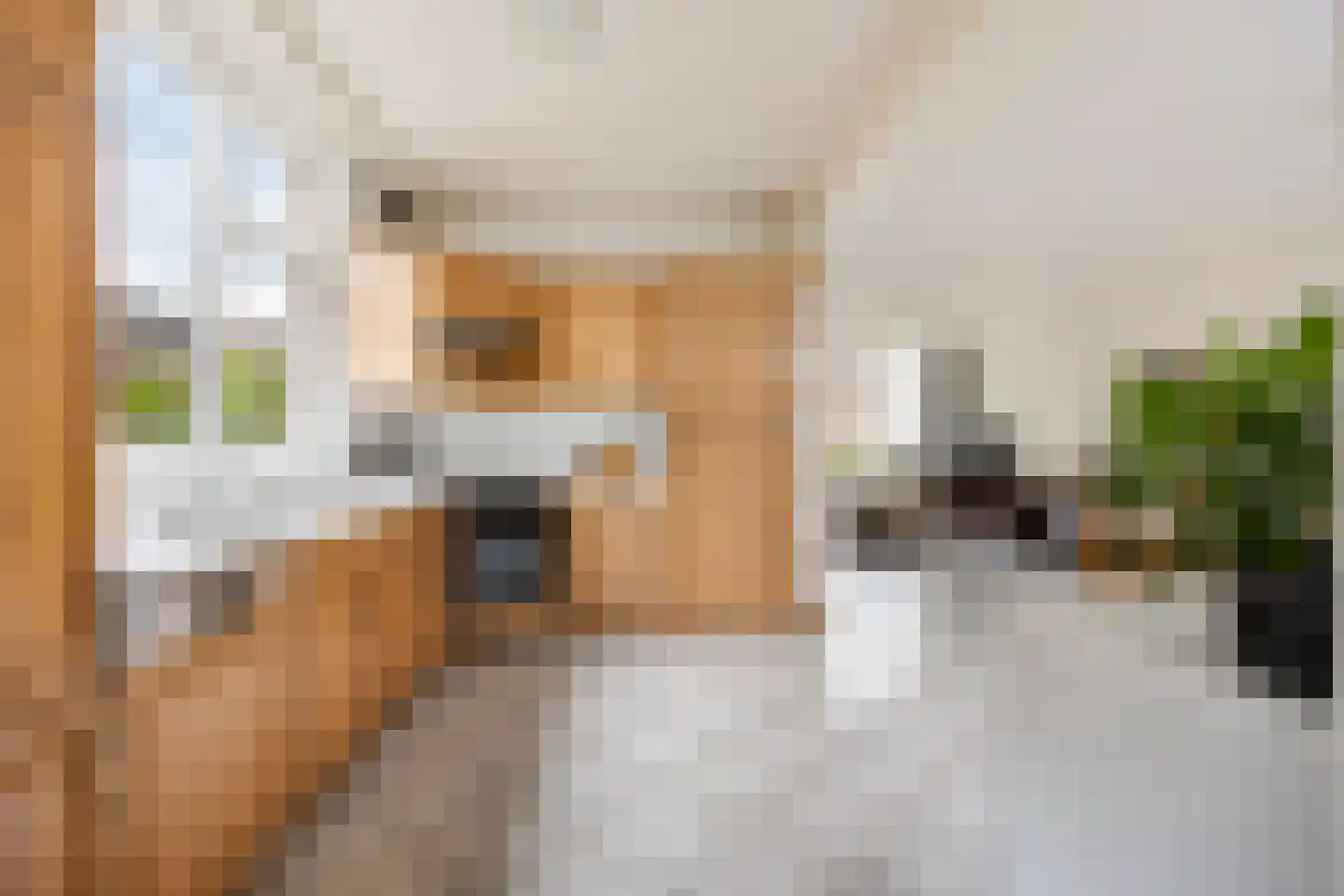 Oosterdstraat 41 Berghem thumbnail 13