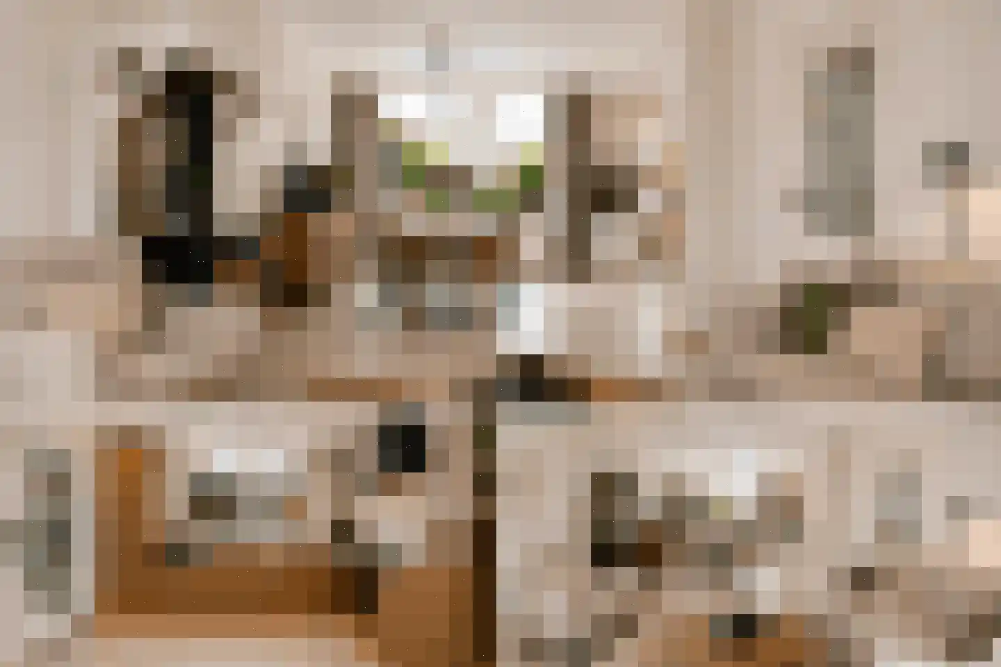 Oosterdstraat 41 Berghem thumbnail 14