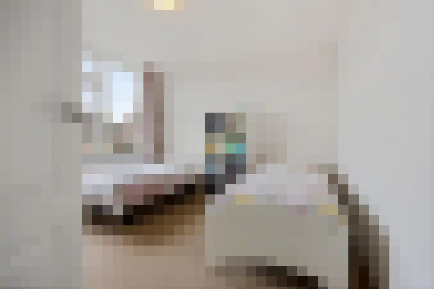 Oosterdstraat 41 Berghem thumbnail 21