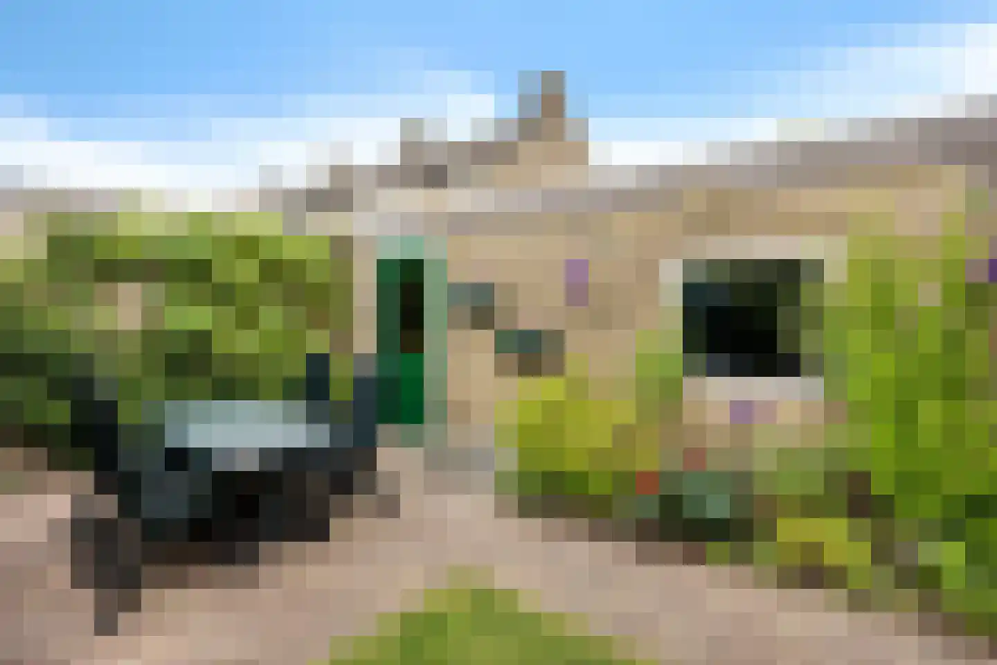 Oosterdstraat 41 Berghem thumbnail 37