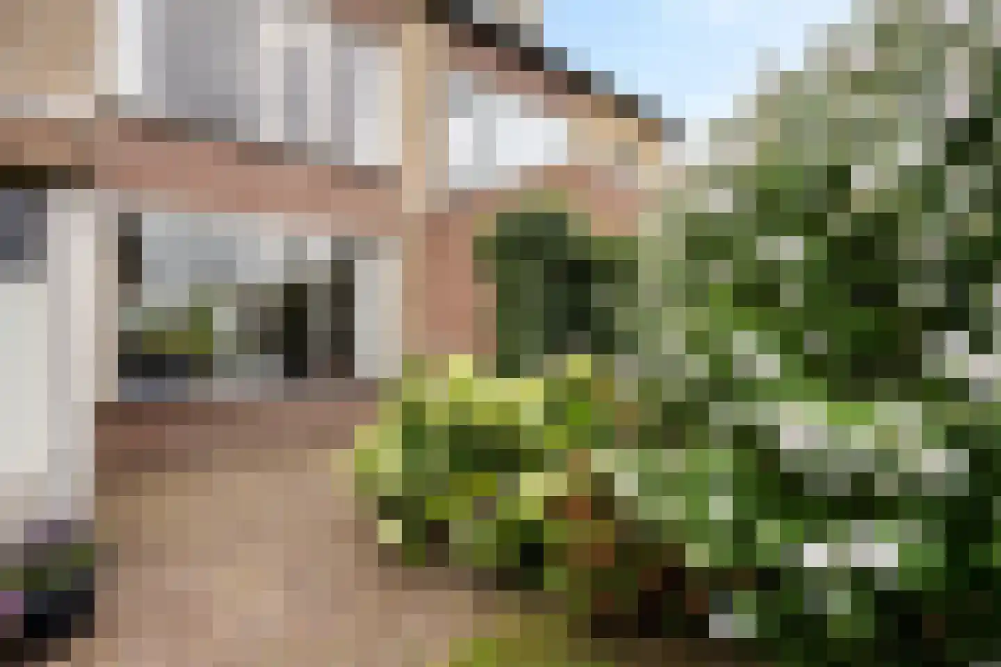 Oosterdstraat 41 Berghem thumbnail 39