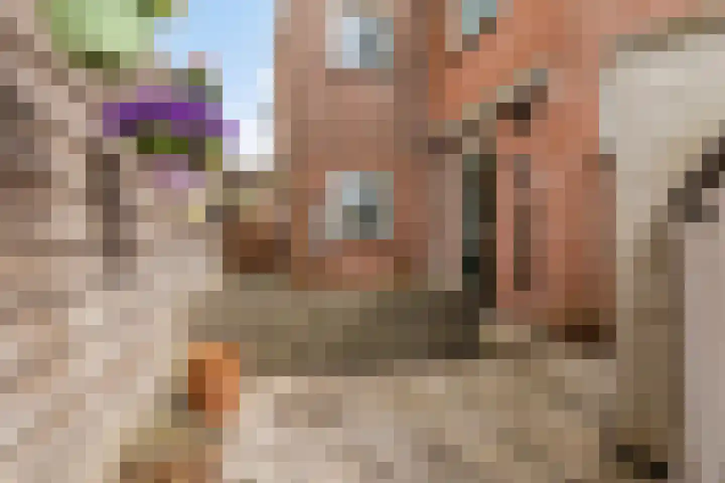 Oosterduinplein 18 IJmuiden thumbnail 35