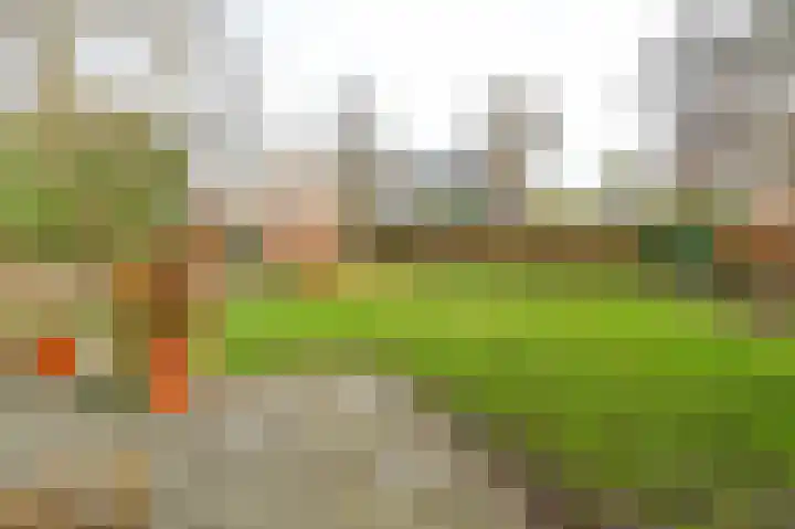 Oosterduinweg 120 Aerdenhout thumbnail 42