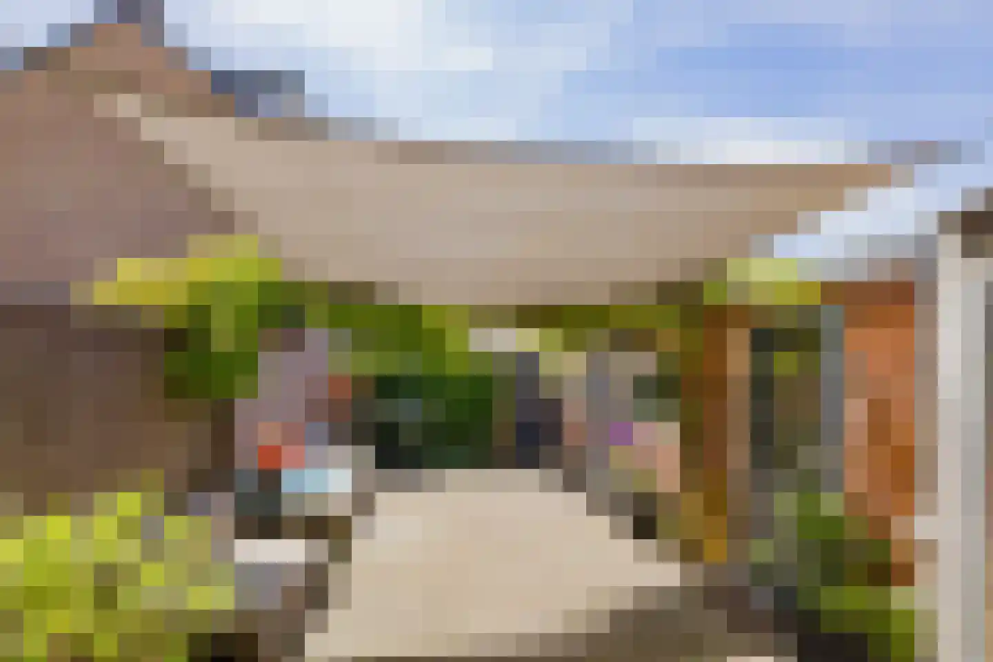 Oosterduinweg 16 IJmuiden thumbnail 26