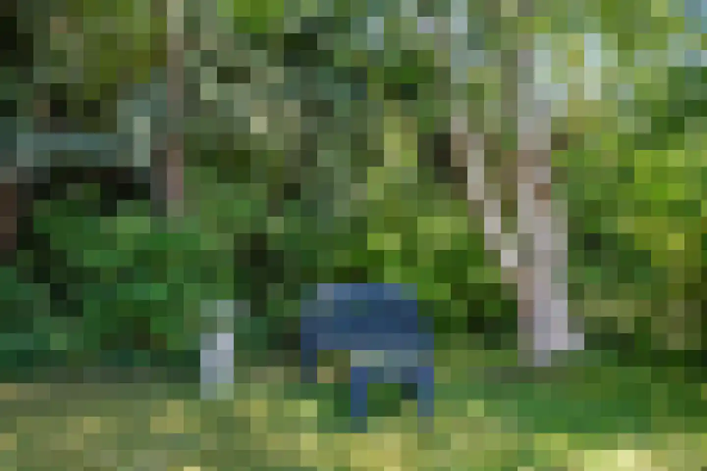 Oosterduinweg 205 Aerdenhout thumbnail 13