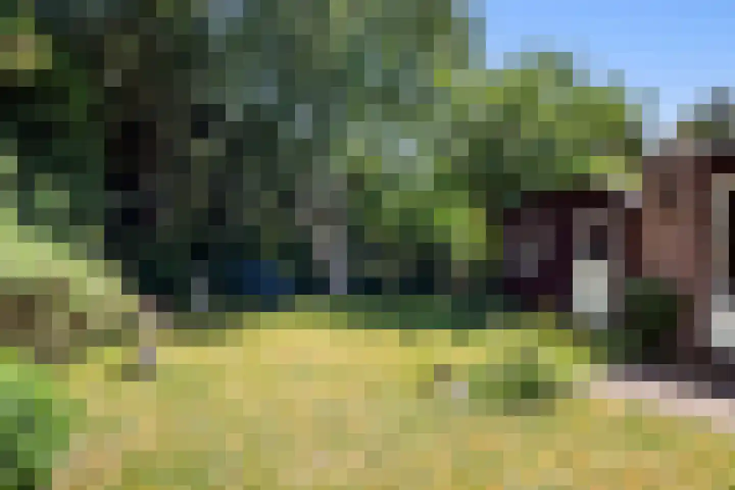 Oosterduinweg 205 Aerdenhout thumbnail 14