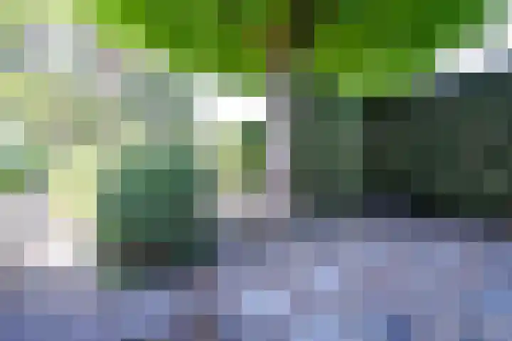 Oosterduinweg 211 Aerdenhout thumbnail 33