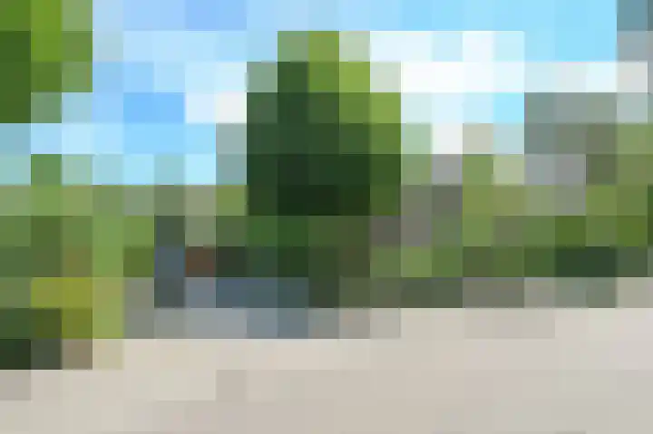 Oosterduinweg 211 Aerdenhout thumbnail 34