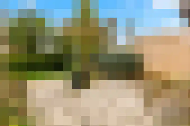 Oosterduinweg 223 Aerdenhout thumbnail 22