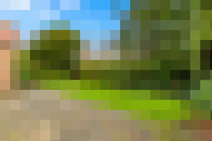 Oosterduinweg 223 Aerdenhout thumbnail 23