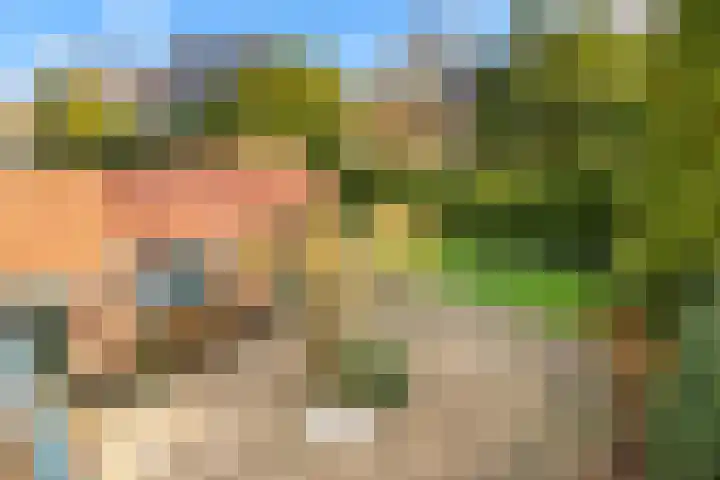 Oosterduinweg 223 Aerdenhout thumbnail 35
