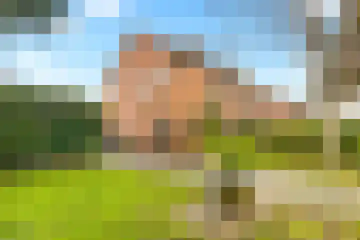 Oosterduinweg 223 Aerdenhout thumbnail 7