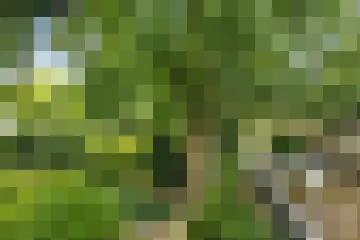 Oosterduinweg 236 Aerdenhout thumbnail 41