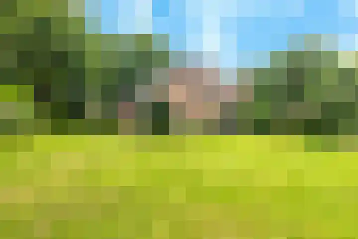 Oosterduinweg 236 Aerdenhout thumbnail 51