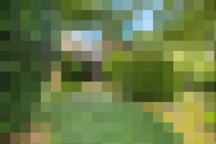 Oosterduinweg 236 Aerdenhout thumbnail 53