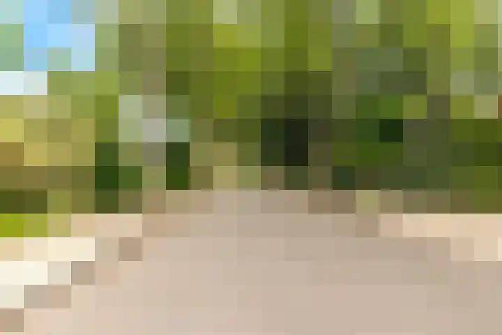 Oosterduinweg 236 Aerdenhout thumbnail 56