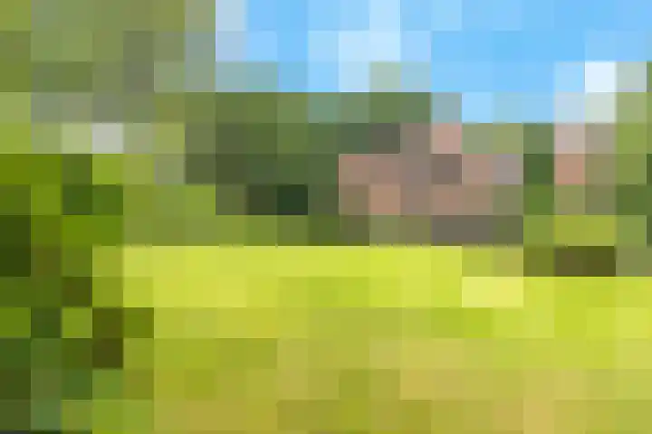 Oosterduinweg 236 Aerdenhout thumbnail 6